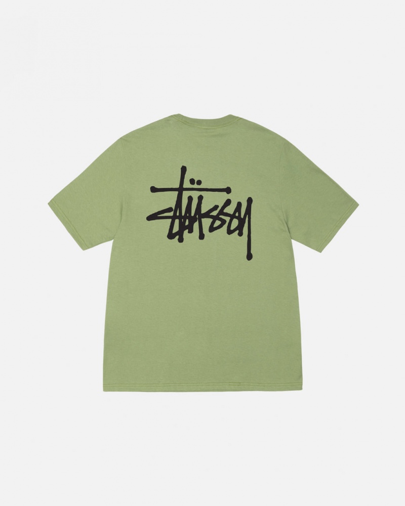 Stussy Basic Stussy Tee - Unisex Shortsleeve Zelene | CZCIF90338